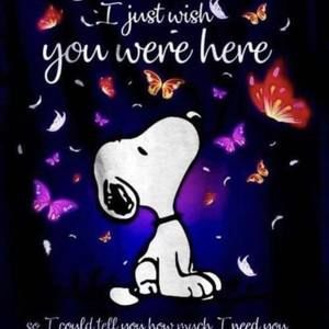 Meet your Posher, Fran